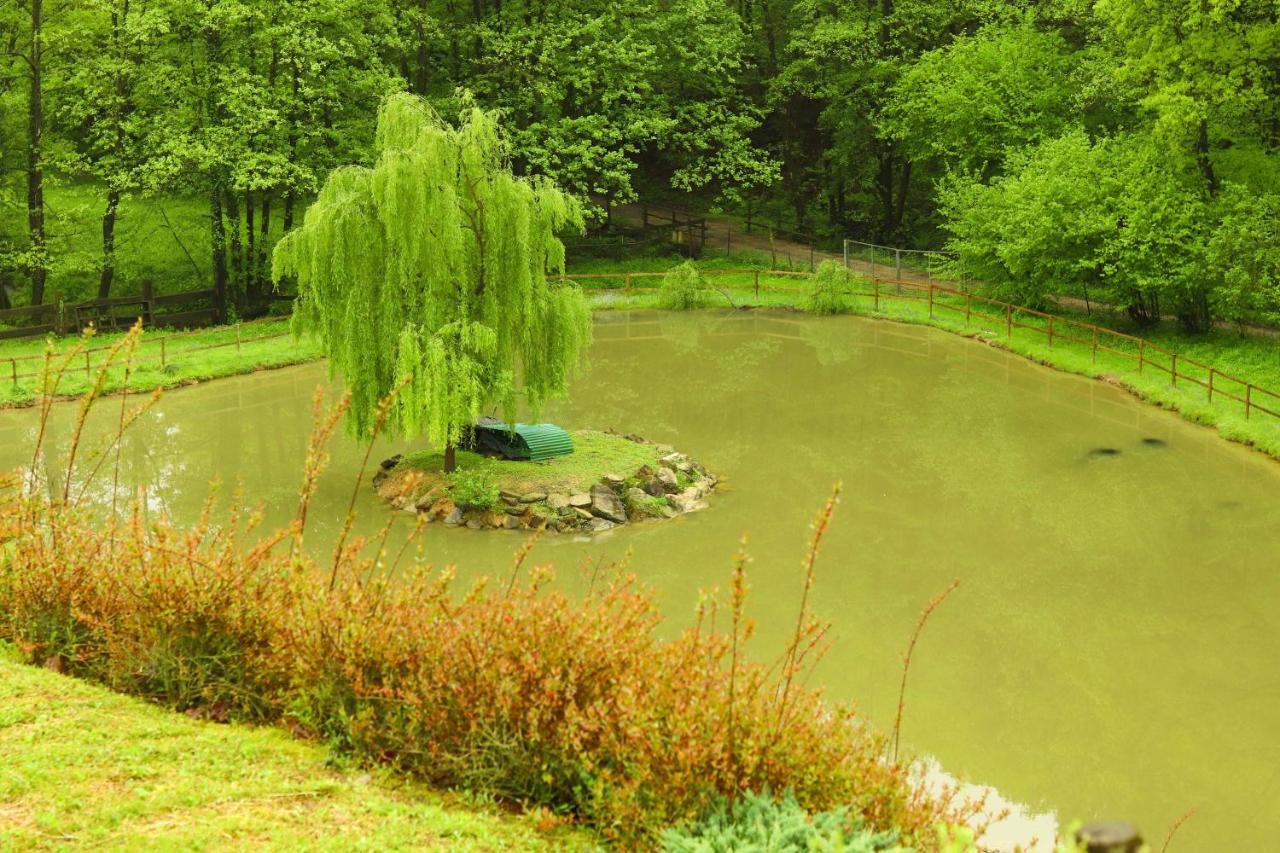 Agriturismo Grammelot Сарнико Экстерьер фото